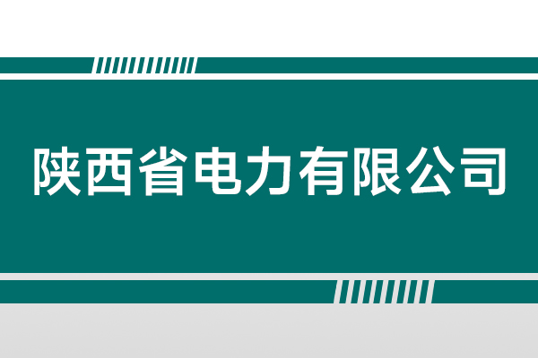 陕西省电力有限公司