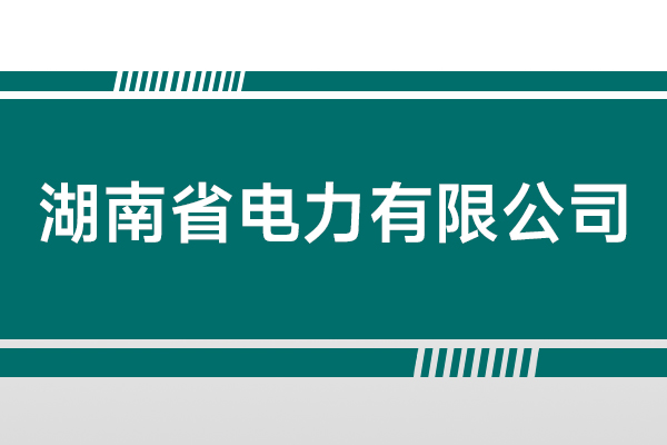 湖南省电力有限公司