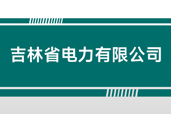 吉林省电力有限公司