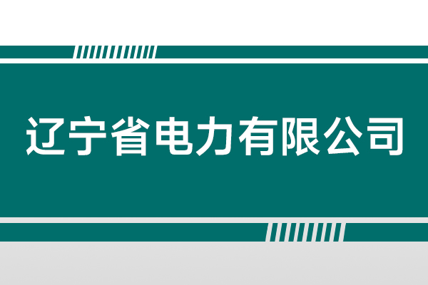 辽宁省电力有限公司